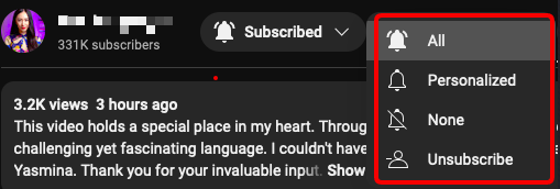 youtube notification options