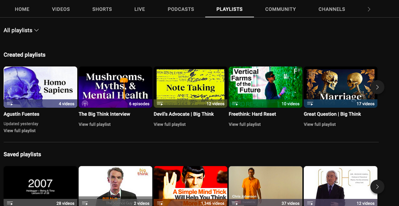 youtube playlist page