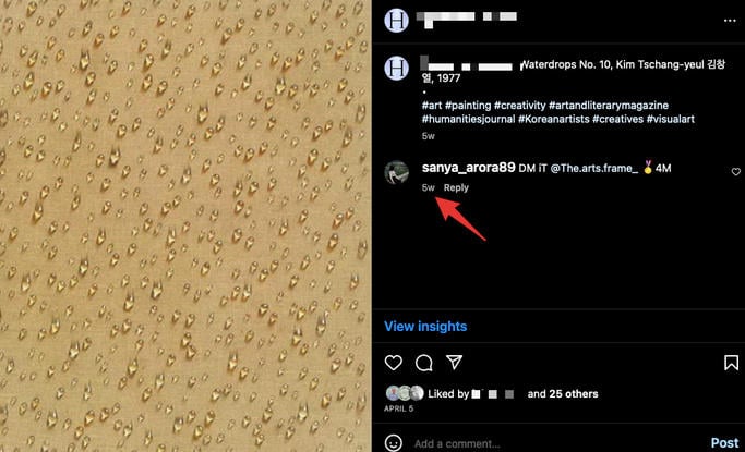 Instagram comment posting date