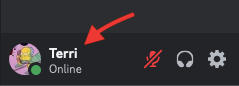 discord profile desktop