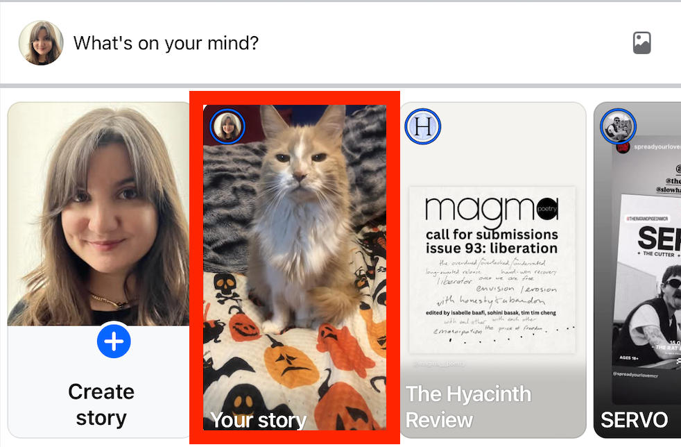 facebook story mobile view