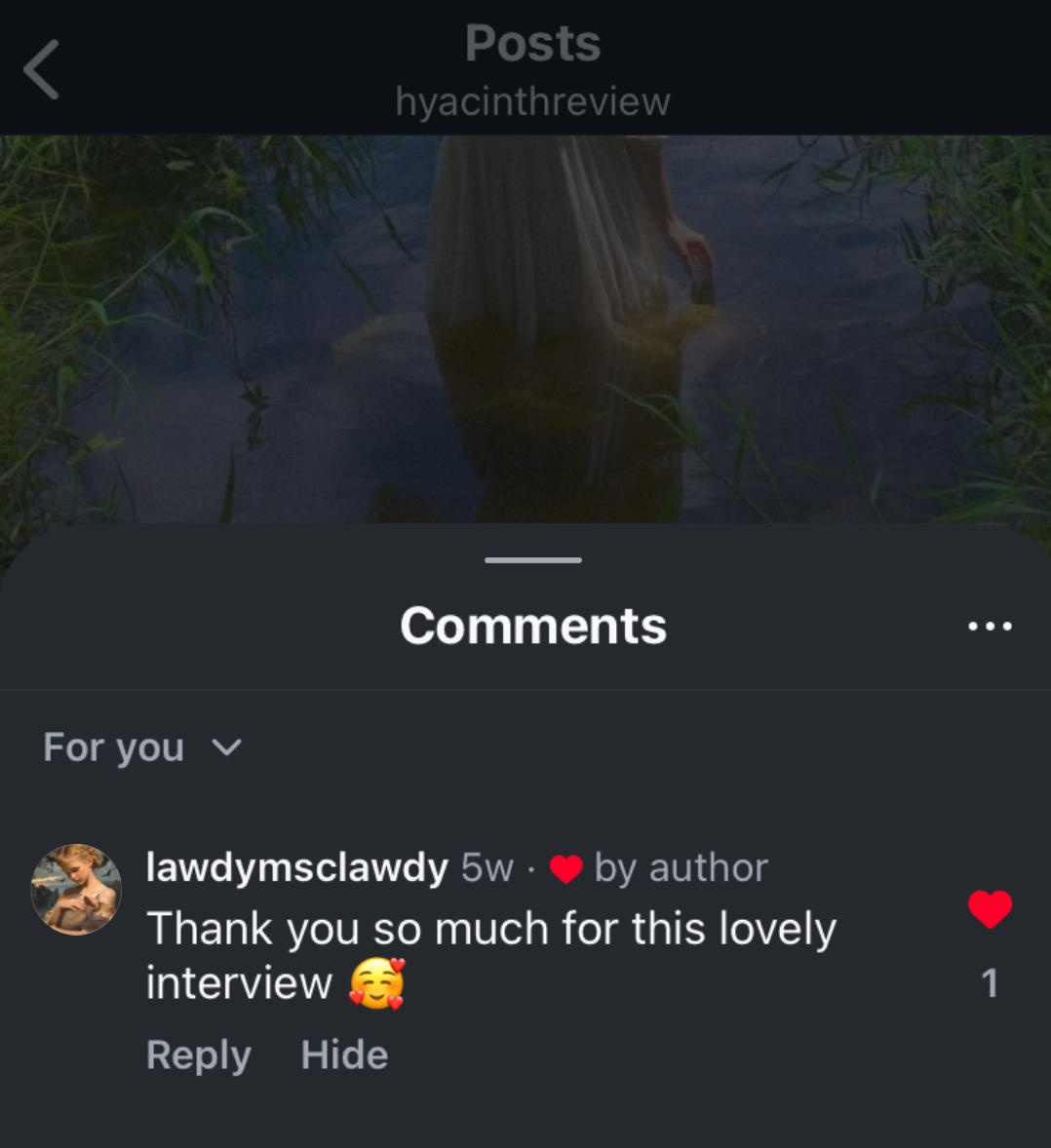 instagram post comment