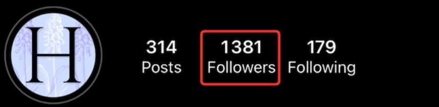 instagram followers menu