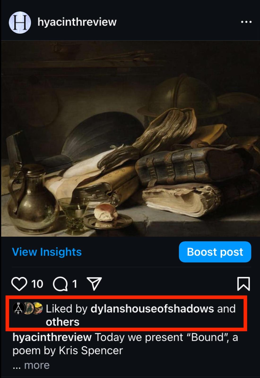instagram post liked by section