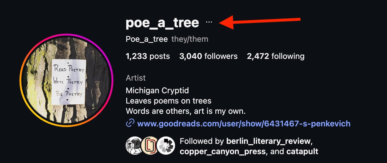 instagram profile menu