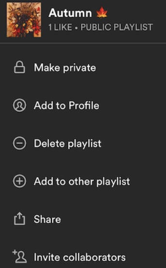 spotify playlist sub menu
