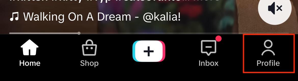 tiktok profile